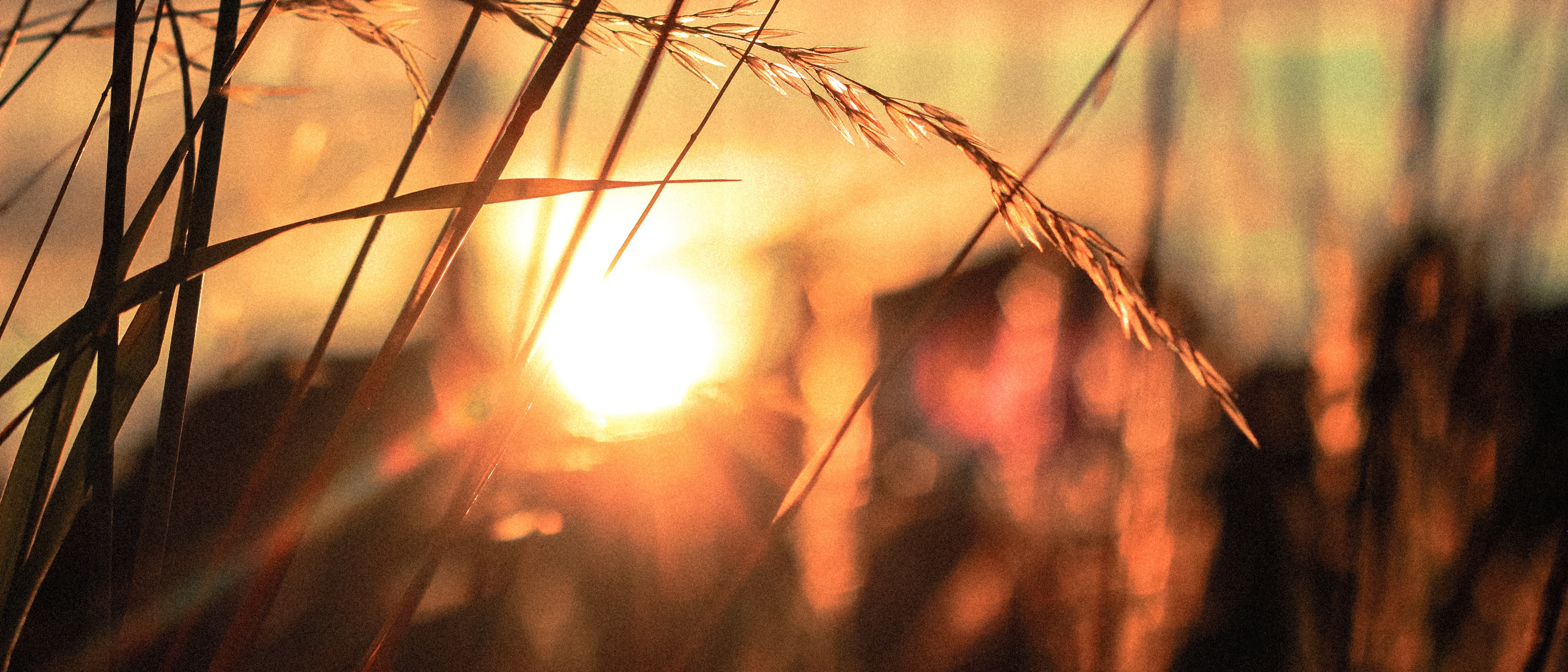 Klient idealny - jest światełko w tunelu